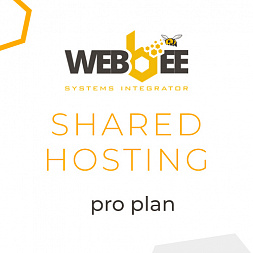 Shared Hosting - Pro