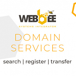 Domain services